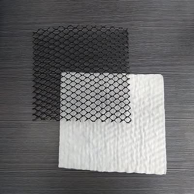 Two-rib geonet drainage nets